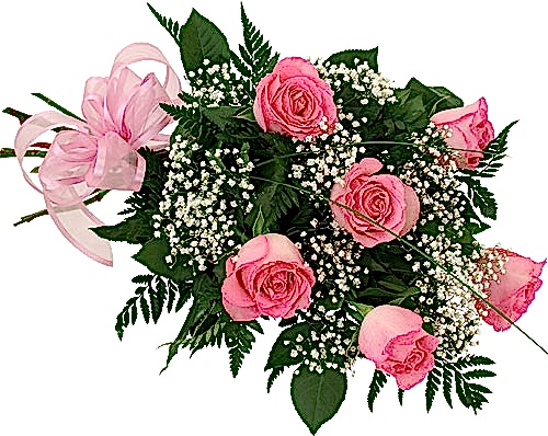 HARİKA PEMBEGÜL DEMETİ